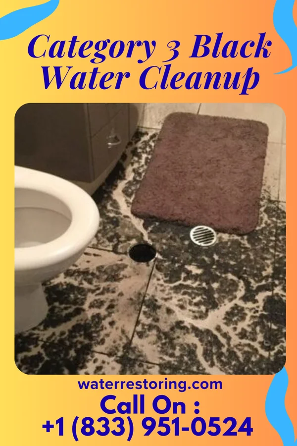 Category 3 Black Water Cleanup in Los Berros, CA